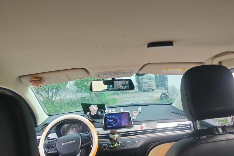 Used Dayun Yuehu 2021 32.85 kWh Two-Wheel-Drive Sprite Version Headliner