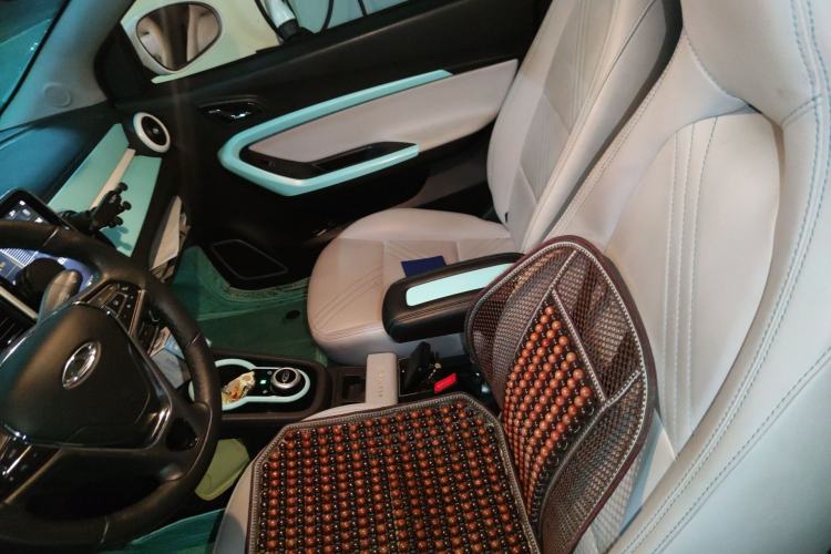 Used Chery QQ Little Ant 2021 200 000-Yuan Ant Fan Edition Talent Version Lithium Iron Phosphate 301 km Left Front Seat