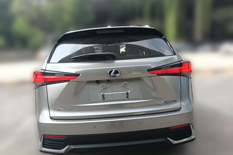 Used Lexus NX 2020 300h Front-Drive FENGSHANG Version China VI Standard Rear