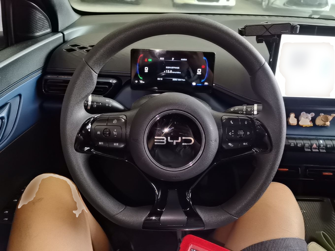 BYD Seagull 2025 305km Active Version — снимка 18