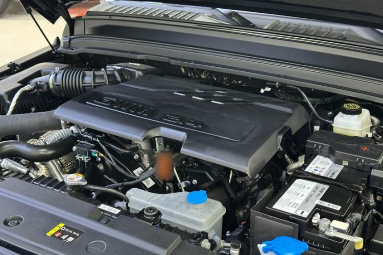 Used Tank 300 2025 2.4T Diesel Version
