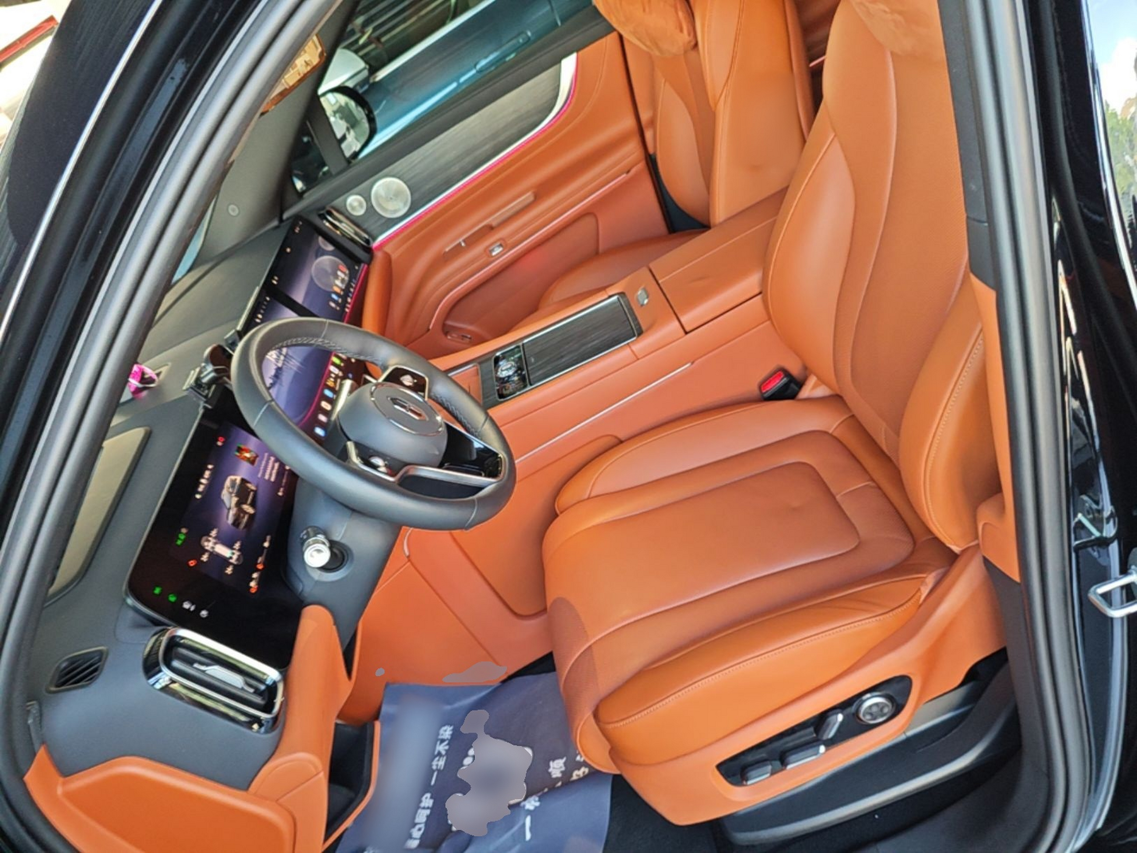 Interior delantero