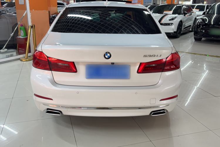 Used BMW 5 Series 2020 530Li Leading Edition Luxury Package