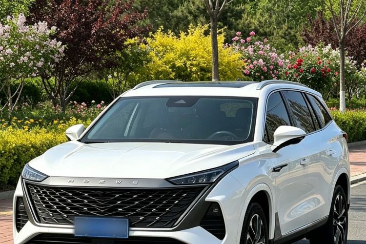 Used Roewe RX9 2023 2.0T Two-Wheel Drive Enjoyment Version