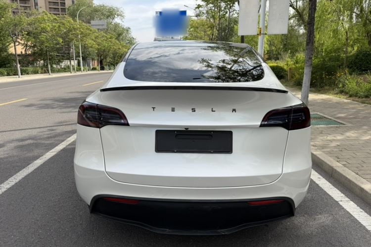 Used Tesla Model Y 2022 Revised Version Long-Range All-Wheel Drive