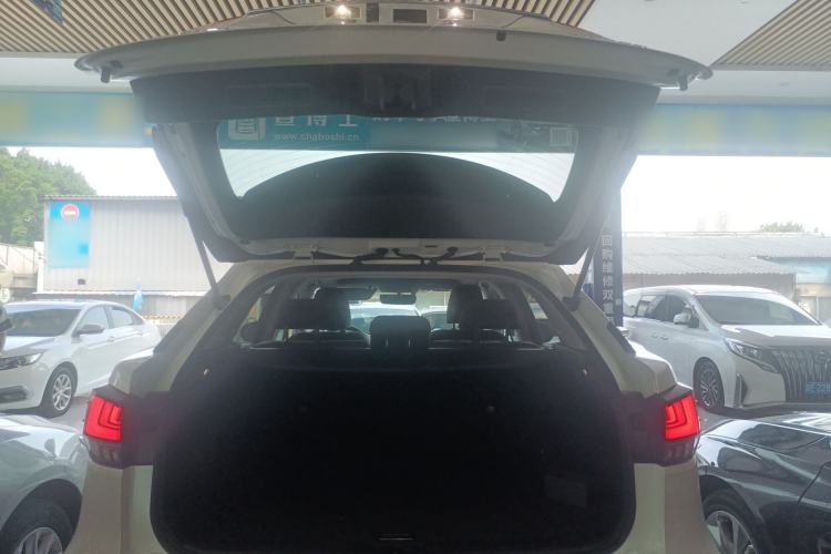 Used Lexus RX 2020 300 Two-Wheel Drive Elite Edition China VI Standard
