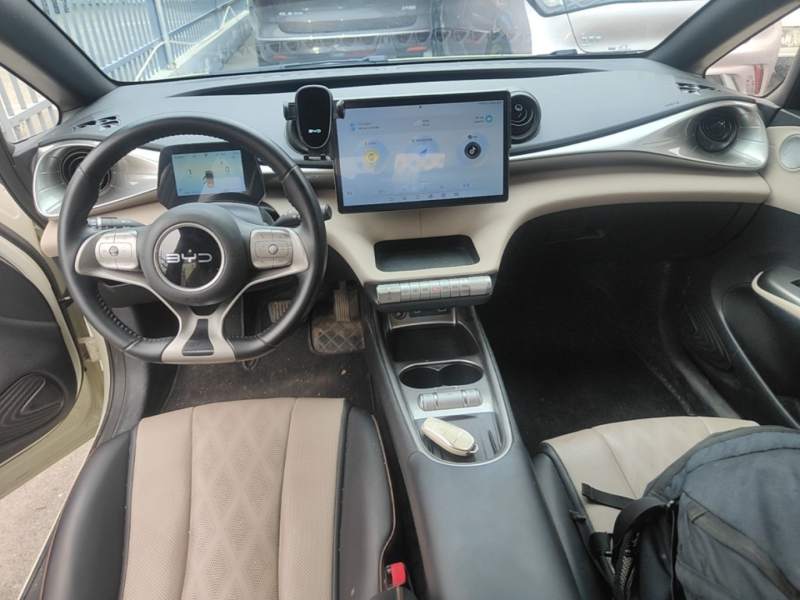 Used BYD Dolphin 2025 420km Fashion Edition — 9