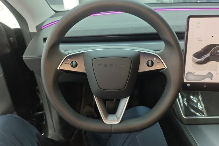 Used Tesla Model Y 2025 Long-Range All-Wheel Drive First Edition