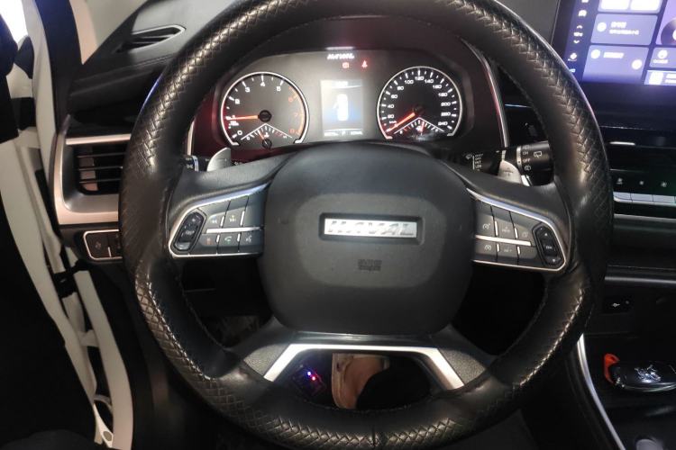 Used Haval H6 2021 National Trend Edition 1.5T Automatic Urban Version
