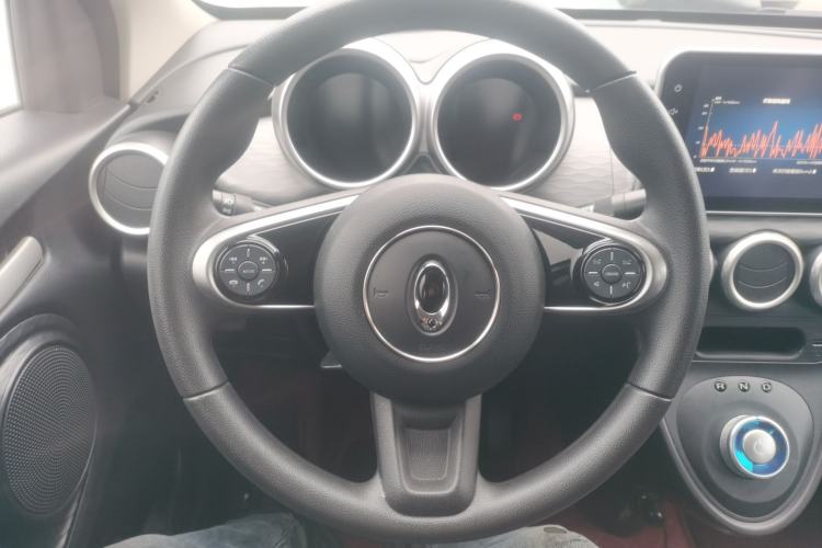 Used ORA Black Cat 2021 301 km Basic Version Steering Wheel