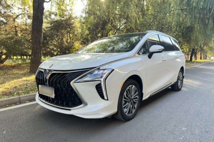 Used FORTHING Yacht 2024 1.5T DCT Guanhai Edition