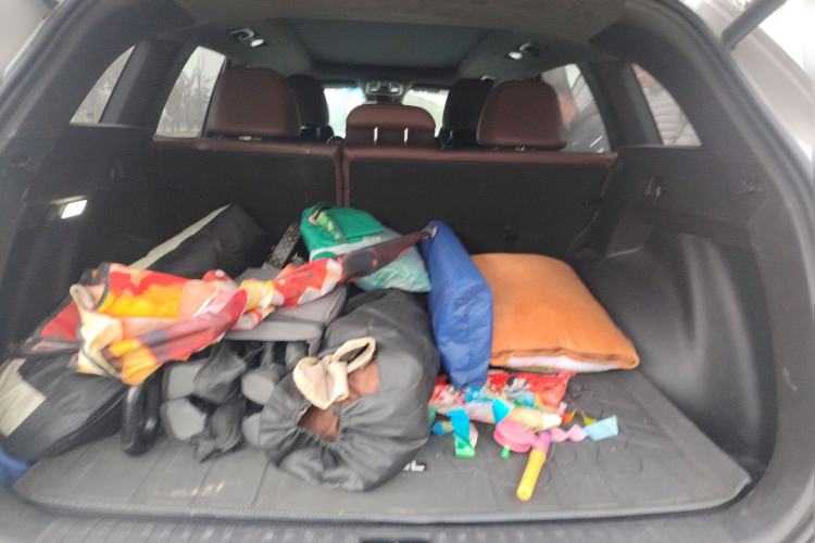 Used Geely Auto Monjaro L 2024 2.0TD High-Power Automatic Two-Wheel Drive Yunqi Version
