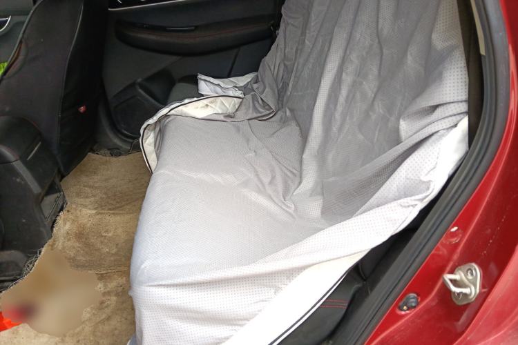 Used FORTHING T5 2020 1.6L Manual Comfort Model China VI Standard Left Rear Seat