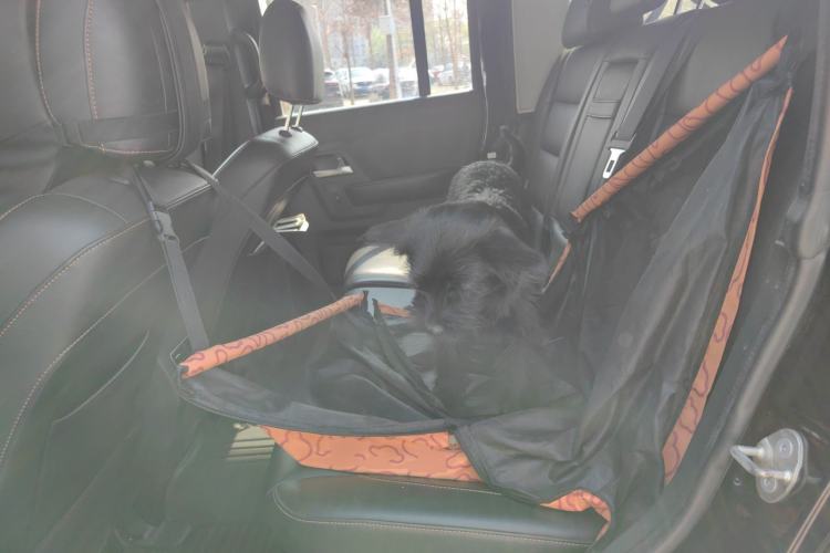 Used BAIC Off-Road BJ40 2016 40L 2.3T Automatic All-Wheel Drive Premium Edition Left Rear Seat