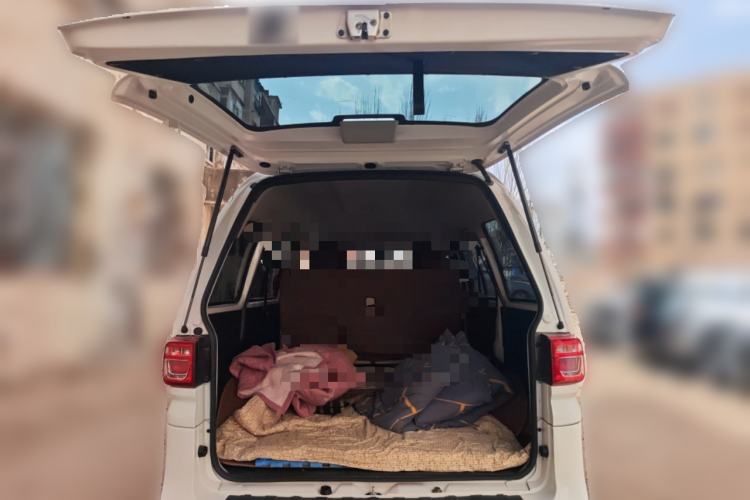 Used FORTHING Lingzhi 2023 M5 1.6L Practical Model 5 Seats