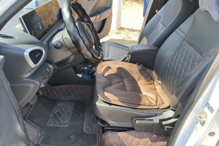 Used ORA White Cat 2020 401 km Long-Range Version
