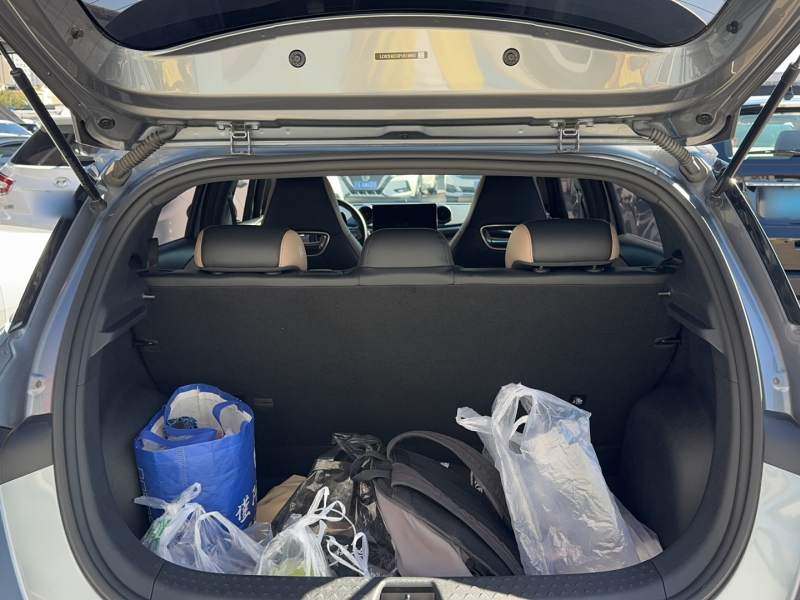 Used BYD Dolphin 2023 420 km Free Version — 6
