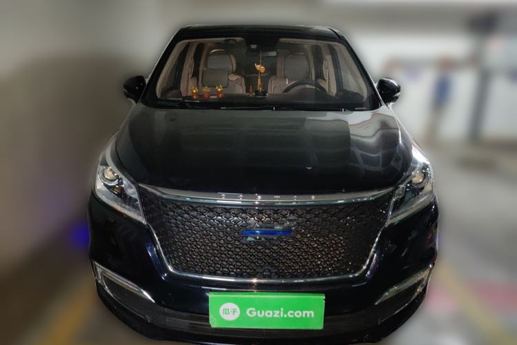 Used Oshan Cosmos 2019 1.5T Automatic Flagship Version China VI Standard
