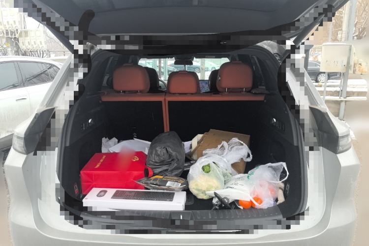 Used Li Auto L6 2024 Pro Model
