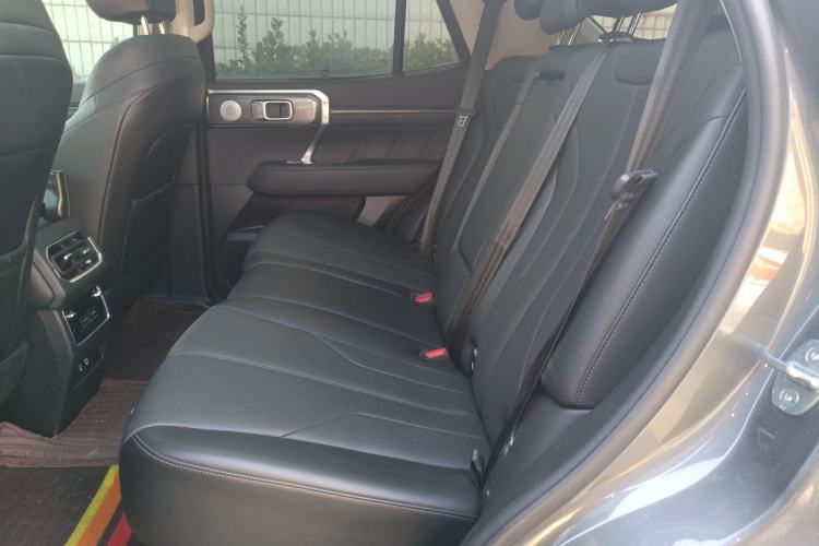 Used Tank 400 New Energy 2023 Hi4-T Super Edition Left Rear Seat