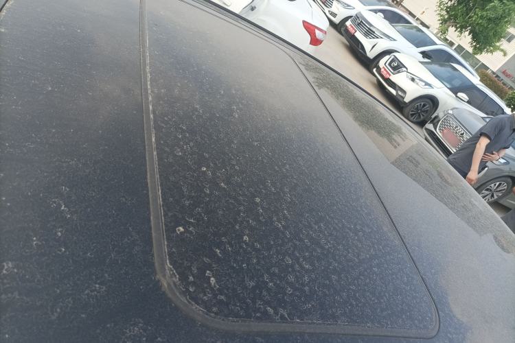 Used Toyota Avalon 2021 2.5L Luxury Edition
