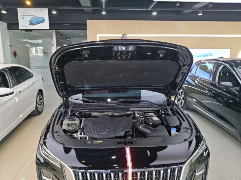 Used Hongqi H5 2025 1.5T DCT Qiyun 500 000th Unit Commemorative Edition — 19