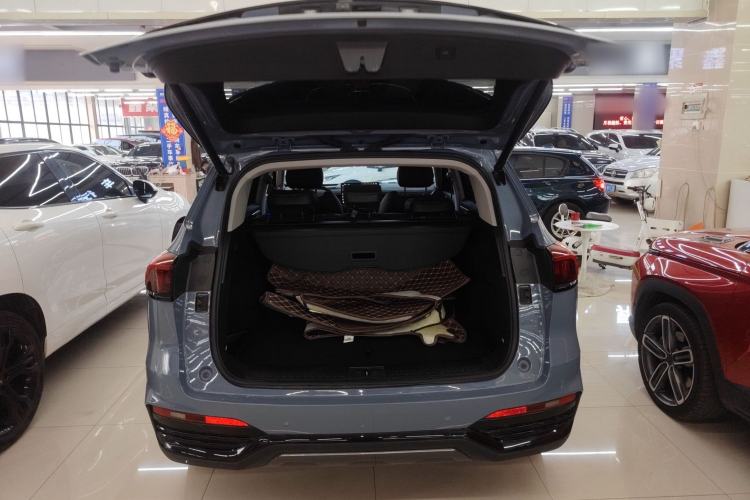 Used Wey Latte DHT 2022 1.5T DHT Extra-Large Cup
