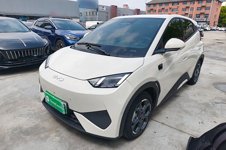Used BYD Seagull 2025 Smart Drive Version 305 km Freedom Edition