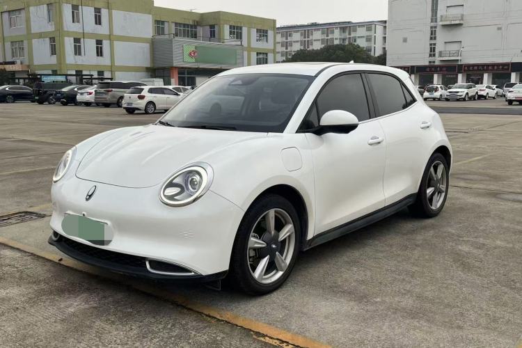 Used ORA Good Cat 2021 400km Standard Range Venus Edition Lithium-Ion Battery
