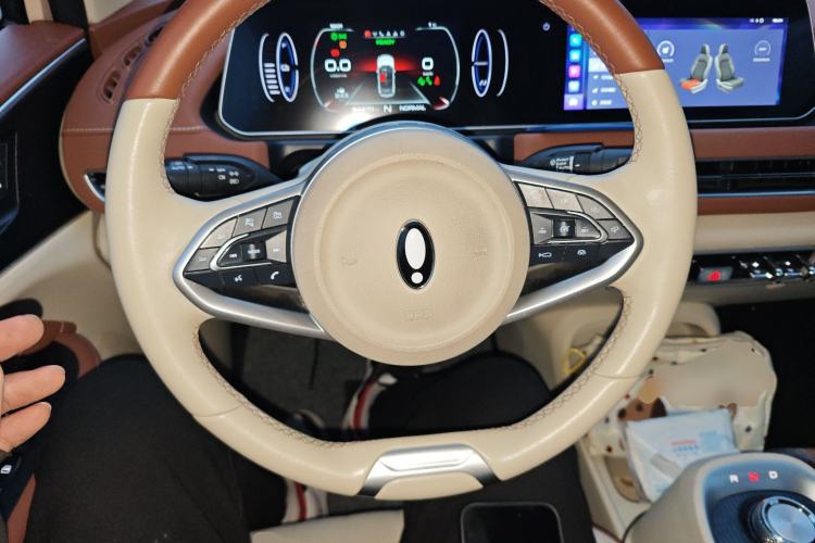 Used ORA Good Cat 2021 400km Standard Range Athena Edition Lithium-Ion Battery
