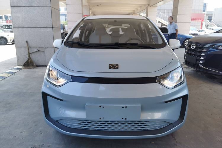 Used SOL E10X 2022 Flower Fairy Design Four-Leaf Clover