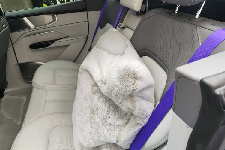 Used HiPhi Y 2023 560 km Elite Version