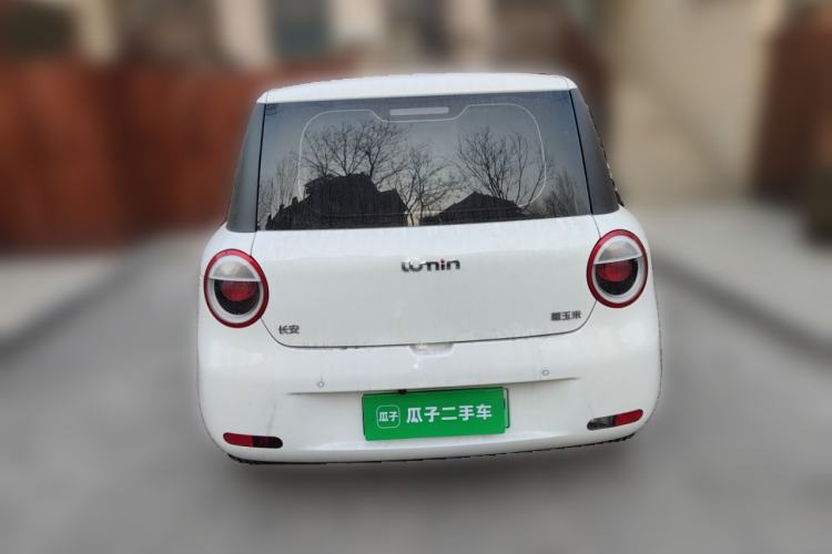 Used Qiyuan Lumin 2023 301km Honey Dew Edition