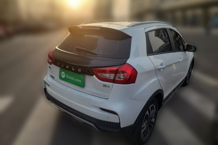 Used Livan Maple 30X 2020 Travel Edition
