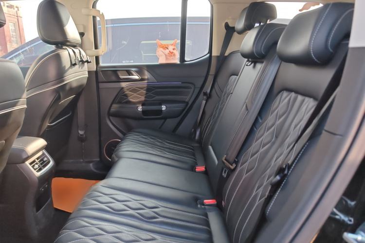 Used Tank 300 2021 City Edition 2.0T My Vision Model