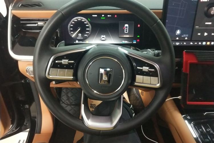 Used Tank 500 New Energy 2024 Hi4-T
