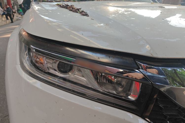 Used Honda Avancier 2019 240TURBO Two-Wheel Drive Comfort Version