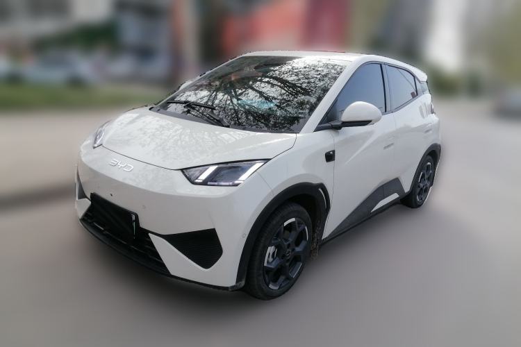 Used BYD Seagull 2025 Smart Drive Version 305 km Freedom Edition