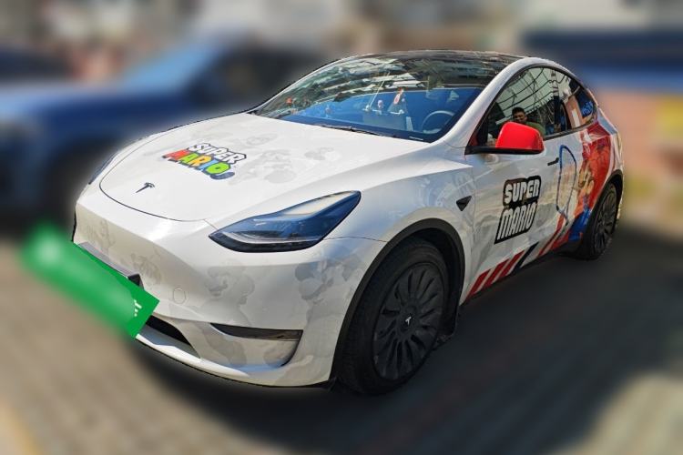 Used Tesla Model Y 2021 Standard Range Rear-Wheel Drive Version