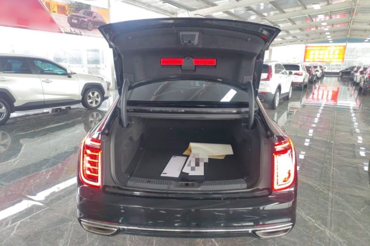Used Hongqi H9 2020 2.0T Smart Connect Flagship Edition
