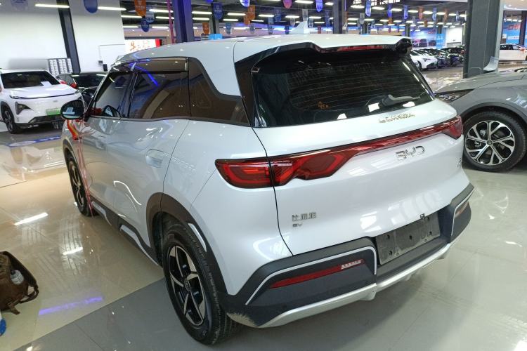 Used BYD Yuan UP 2024 401KM Leading Edition
