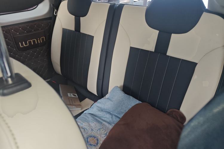 Used CHANGAN NEVO Lumin 2024 130km Qingyue Version Left Rear Seat