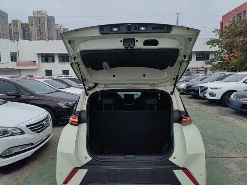 Used BYD Seagull 2023 Free Edition — 18