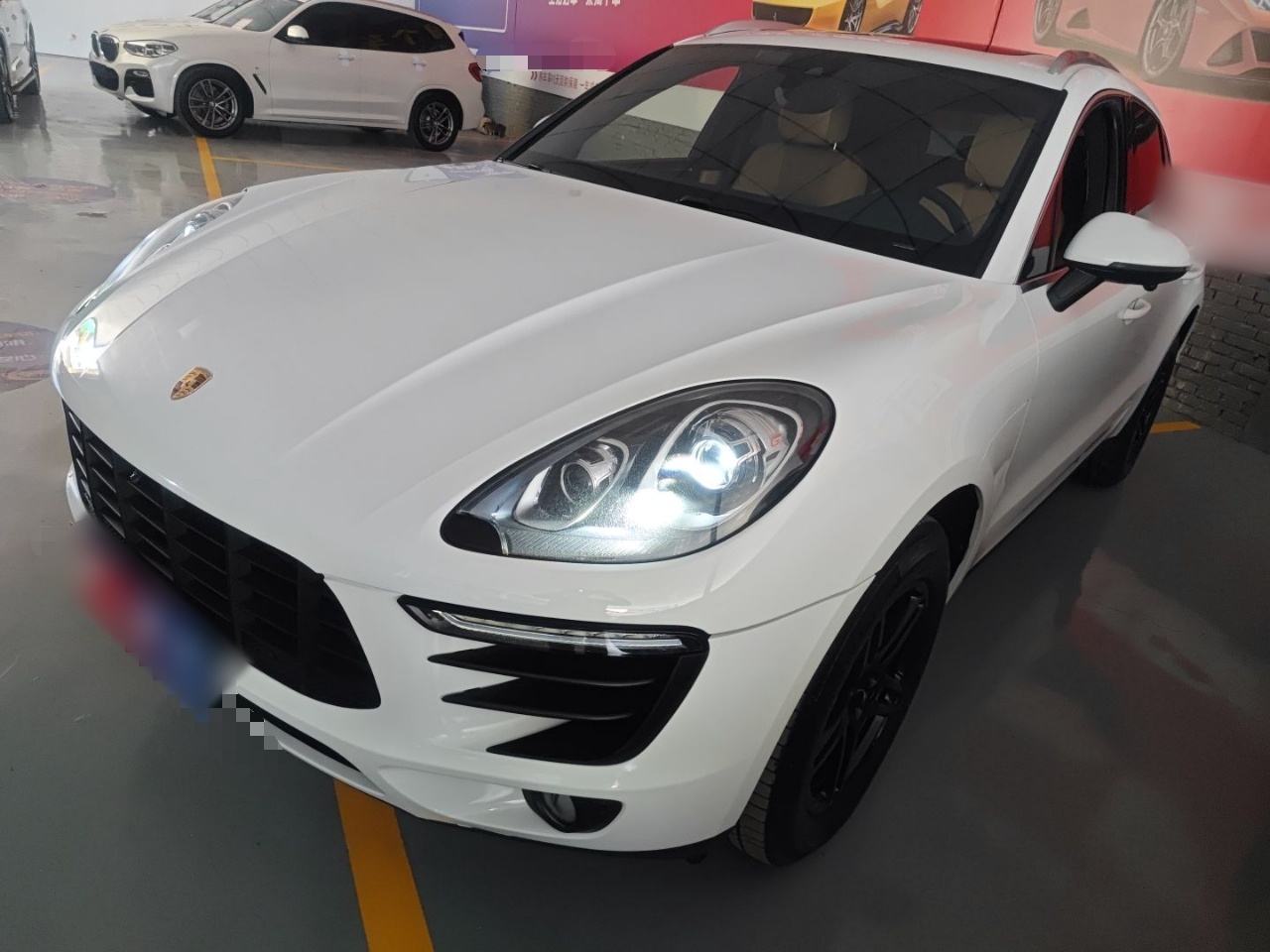 Parte inferior delantera