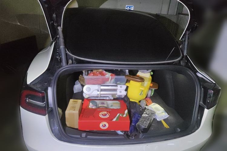 Used Tesla Model 3 2021 Performance High-Performance All-Wheel-Drive Version 3D6