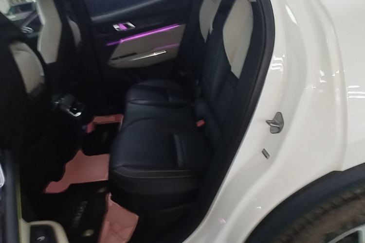 Used Lynk & Co 05 2020 2.0TD Two-Wheel Drive Zhaoyang Plus Left Rear Seat