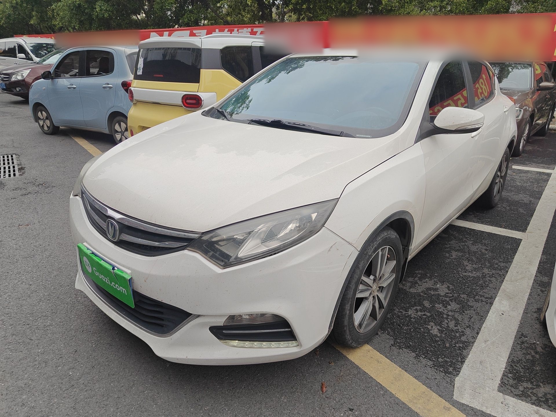 Parte inferior delantera