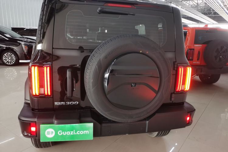 Used Tank 300 2024 2.0T Conqueror