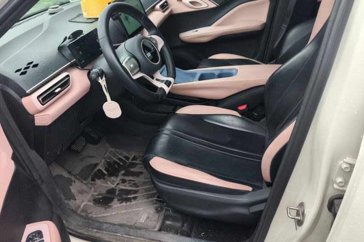 Used BYD Seagull 2023 Free Edition Left Front Seat