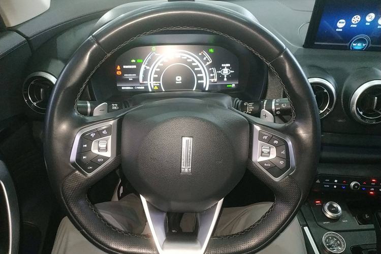 Used Wey P8 2018 2.0T Flagship Model